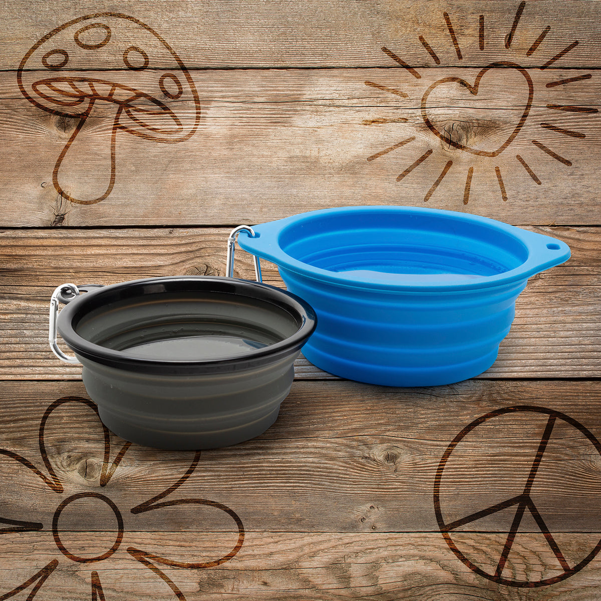 Sip & Gulp Collapsible Travel Bowls